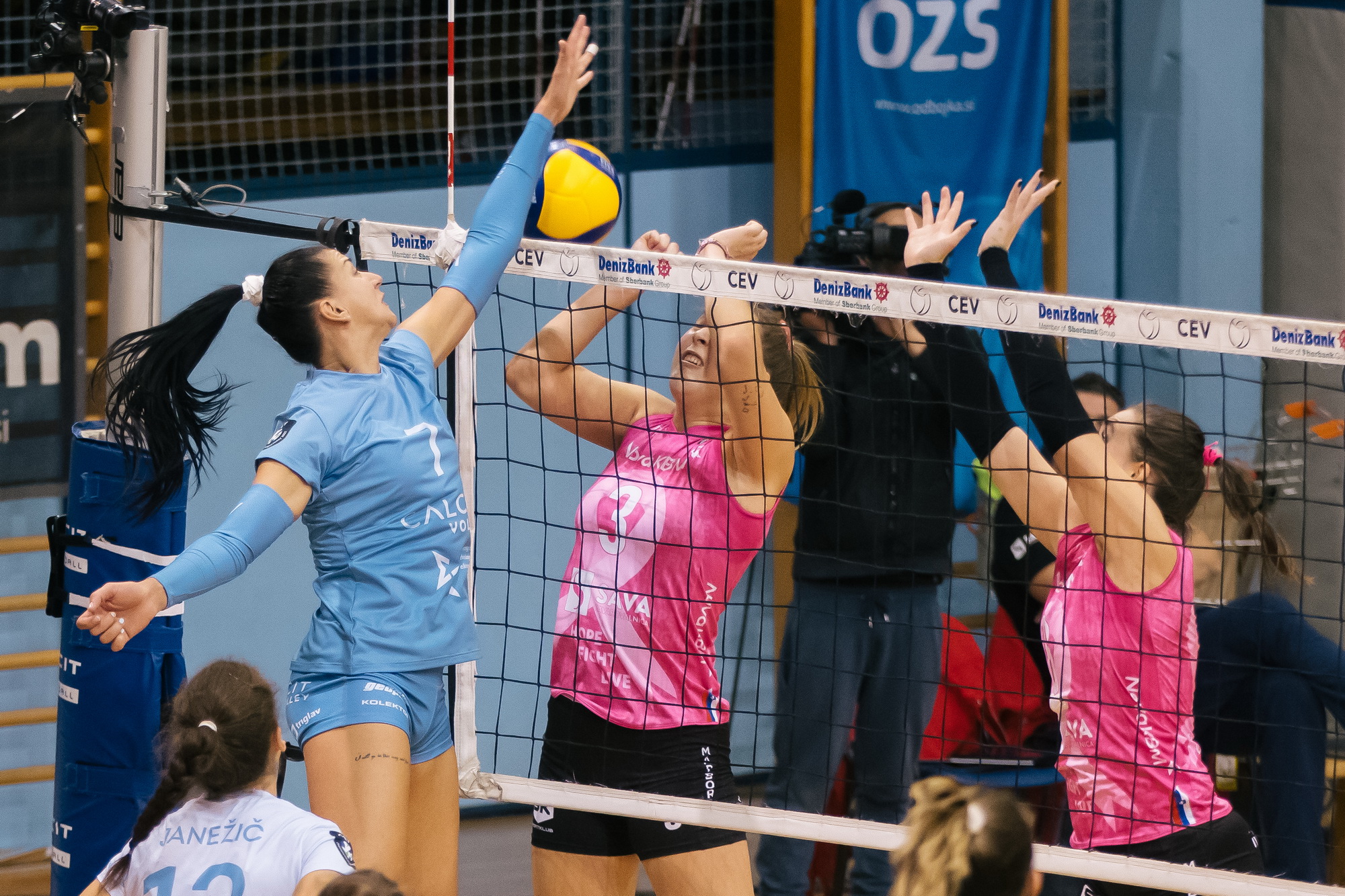 Andjelka Radi&scaron;ković